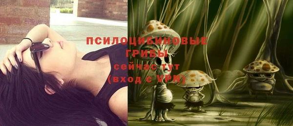 стафф Вязники