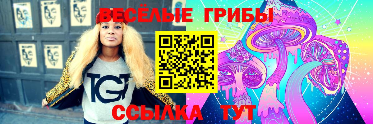 Ноябрьск  Псилоцибиновые грибы мухоморы  Вход с VPN 