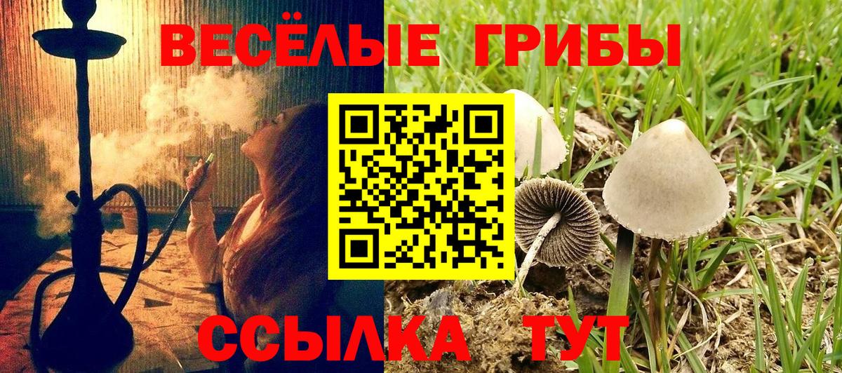 Галлюциногенные грибы MAGIC MUSHROOMS Ноябрьск